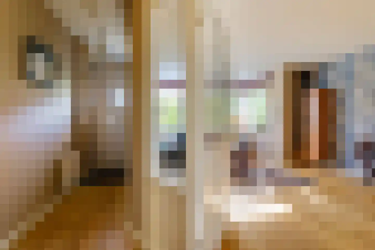 Het Dok 5 Amsterdam thumbnail 7