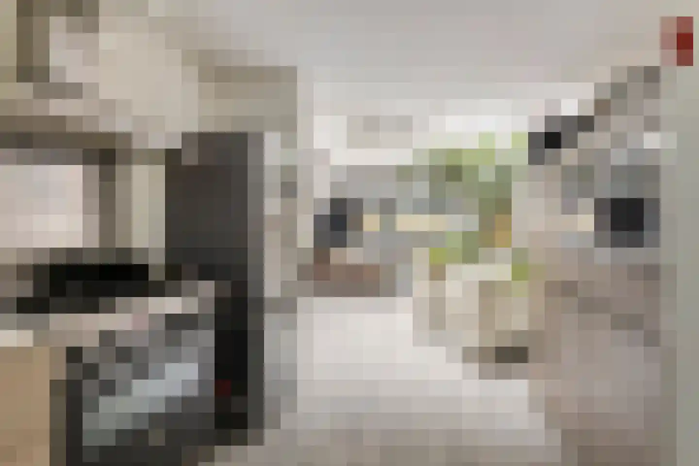 Het Dok 5 Zaandam thumbnail 13