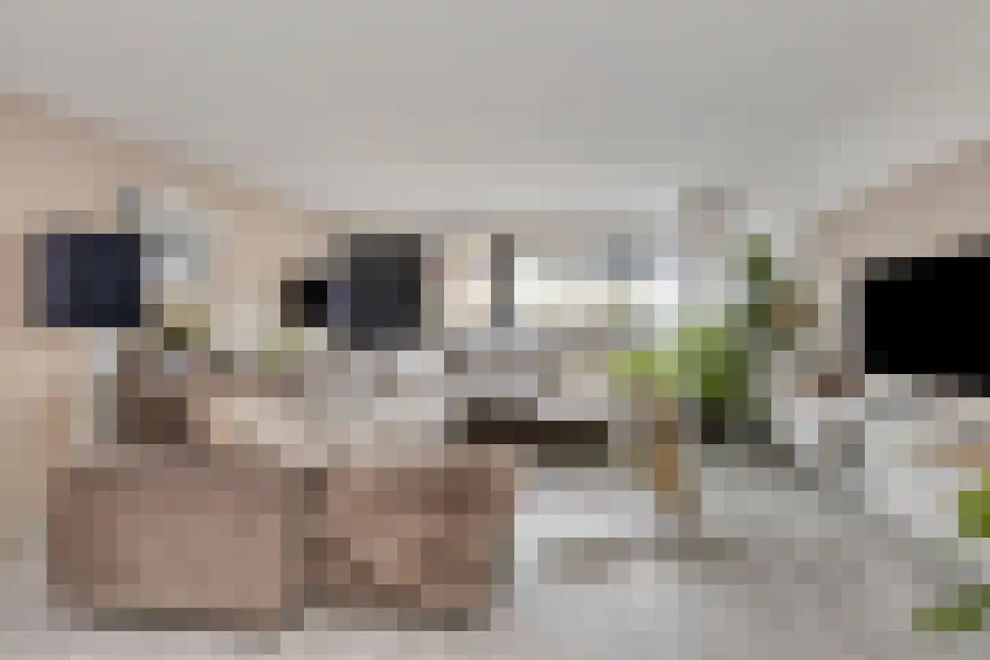 Het Dok 5 Zaandam thumbnail 4