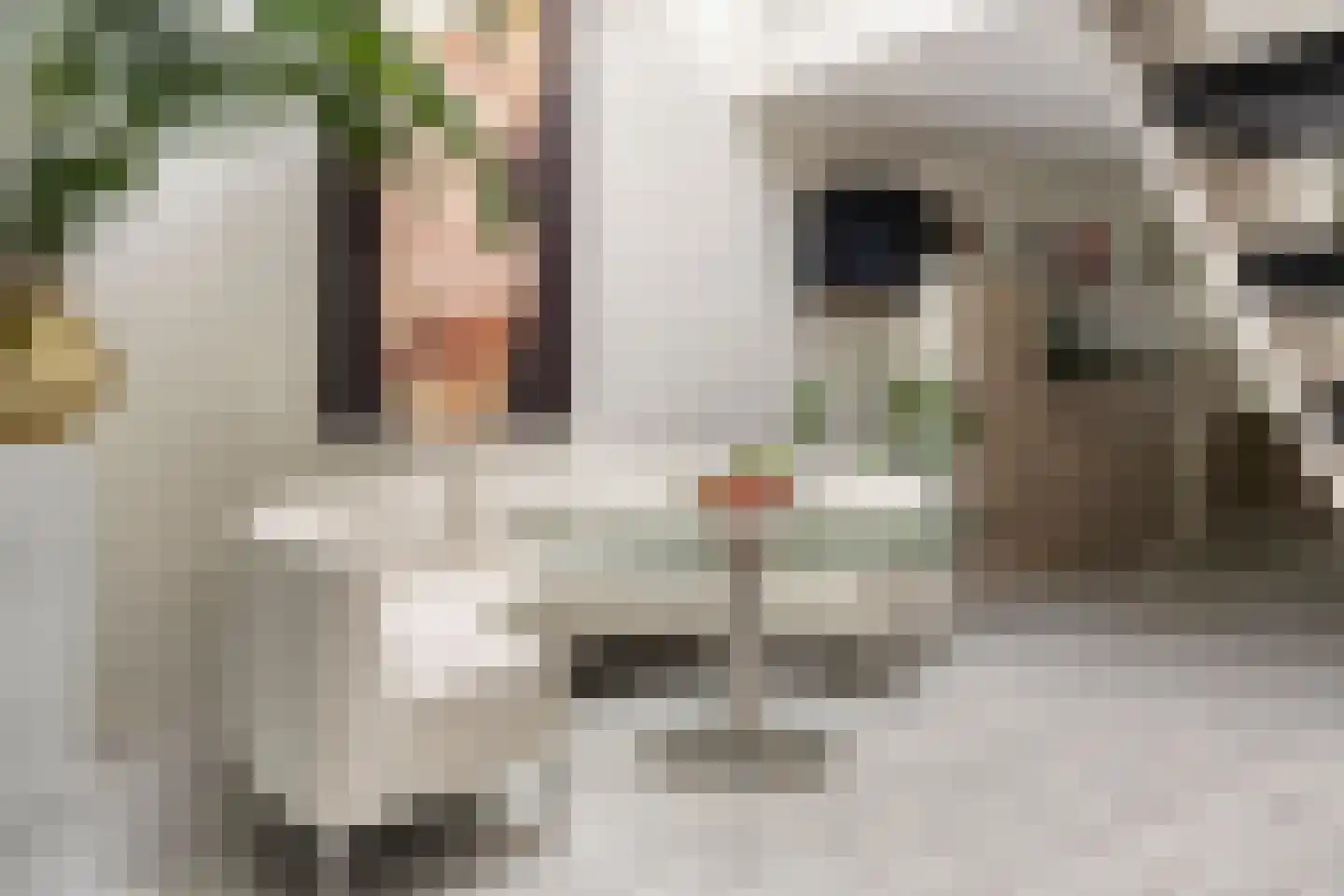 Het Dok 5 Zaandam thumbnail 7