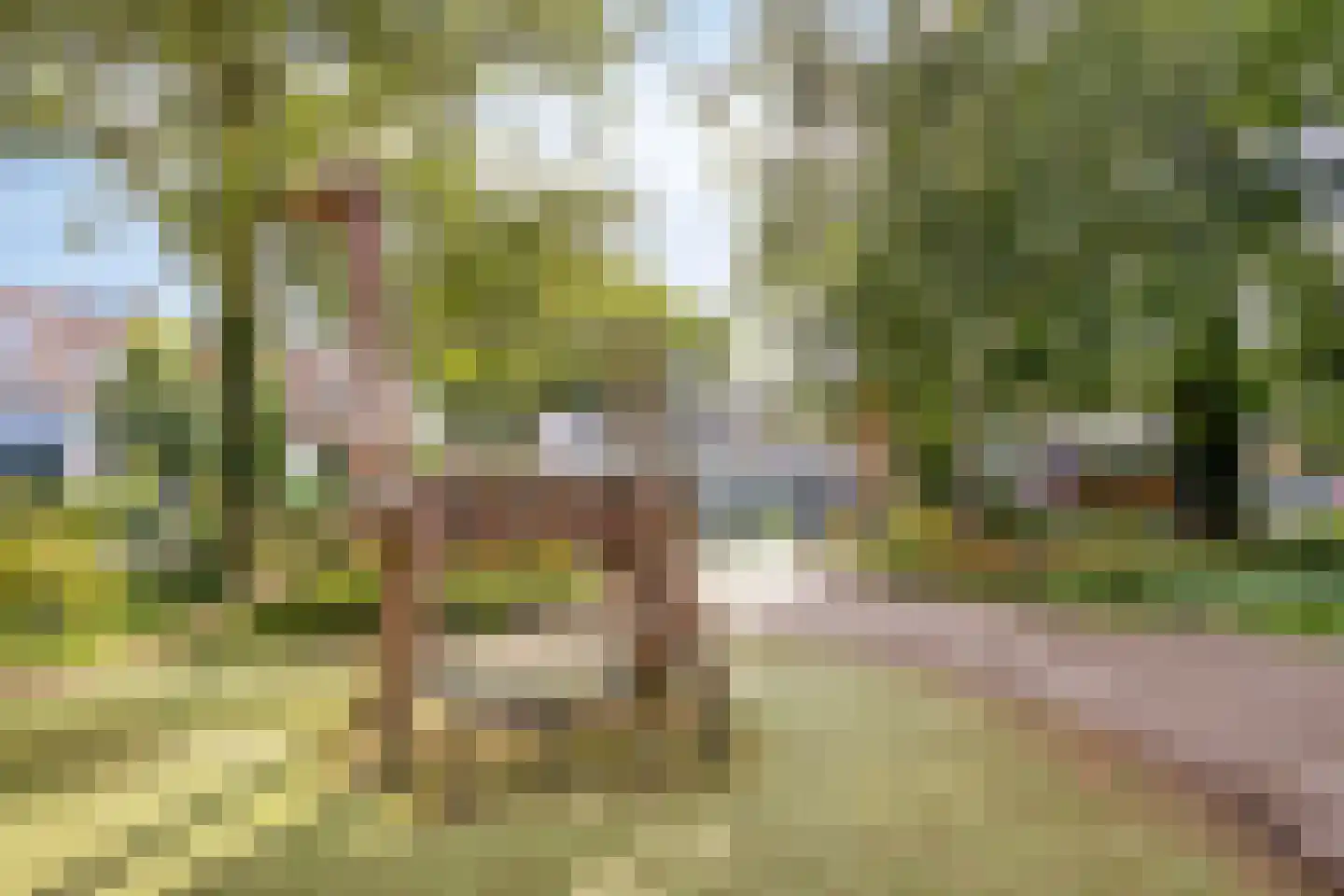 Het Dok 65 Zaandam thumbnail 35