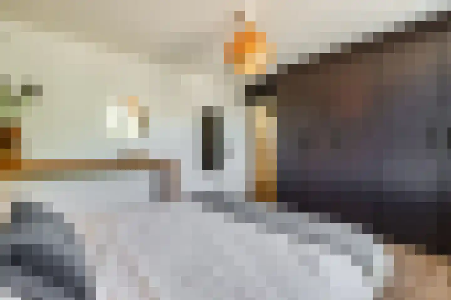 Het Dok 9 Amsterdam thumbnail 16