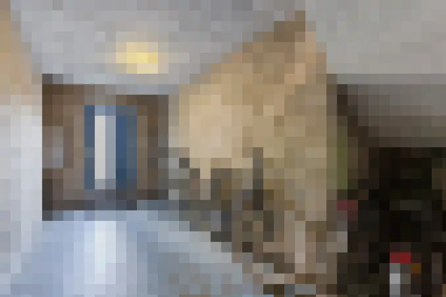 Het Dok 9 Amsterdam thumbnail 29