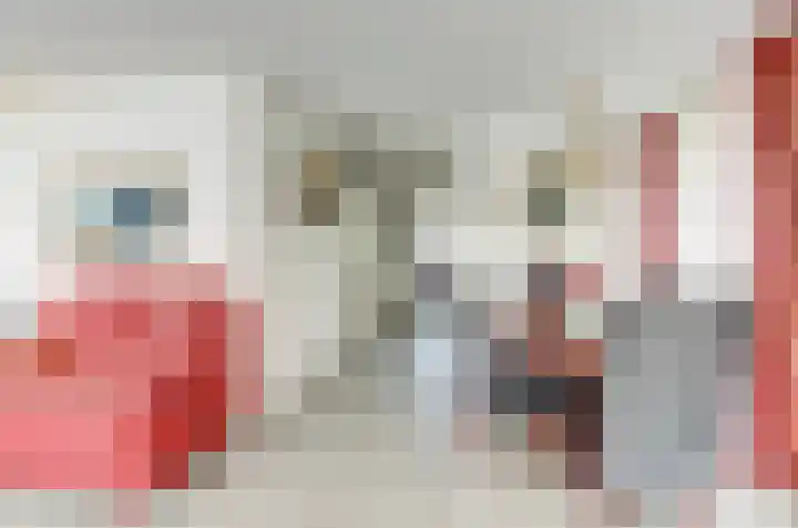 Het Dolomiet 11 Swifterbant thumbnail 10