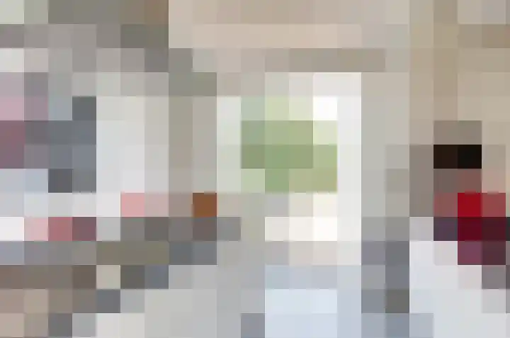 Het Dolomiet 11 Swifterbant thumbnail 17