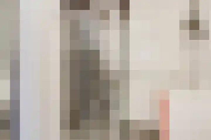 Het Dolomiet 11 Swifterbant thumbnail 21