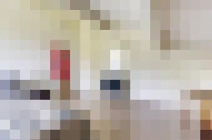Het Dolomiet 11 Swifterbant thumbnail 25