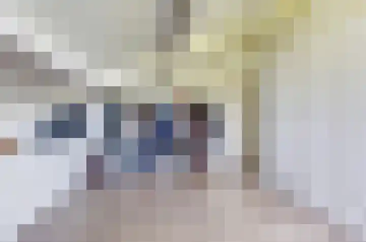 Het Dolomiet 11 Swifterbant thumbnail 27