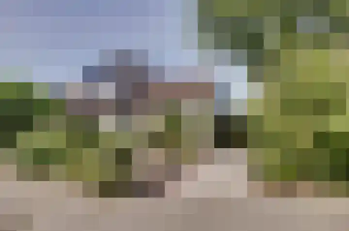 Het Dolomiet 11 Swifterbant thumbnail 28