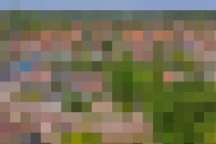 Het Dolomiet 11 Swifterbant thumbnail 29