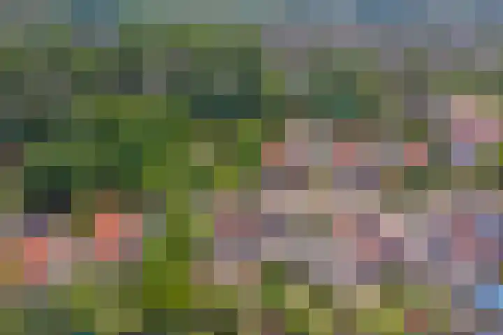 Het Dolomiet 11 Swifterbant thumbnail 30
