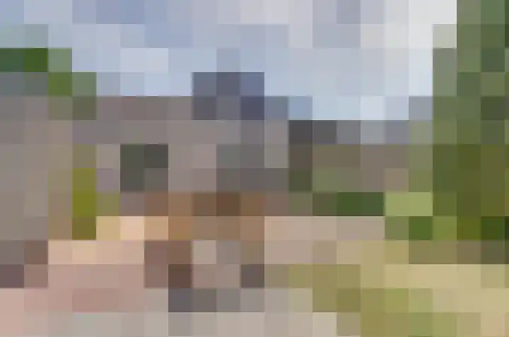 Het Dolomiet 11 Swifterbant thumbnail 33
