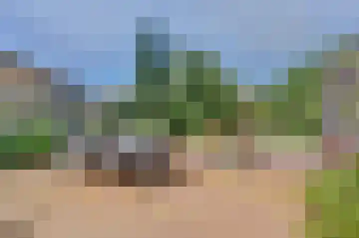 Het Dolomiet 11 Swifterbant thumbnail 36