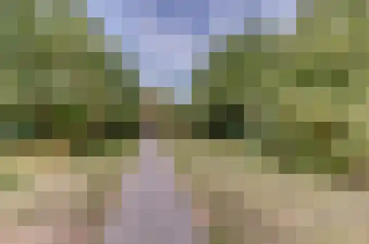 Het Dolomiet 11 Swifterbant thumbnail 37