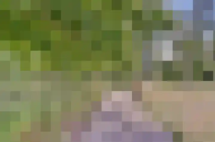 Het Dolomiet 11 Swifterbant thumbnail 41
