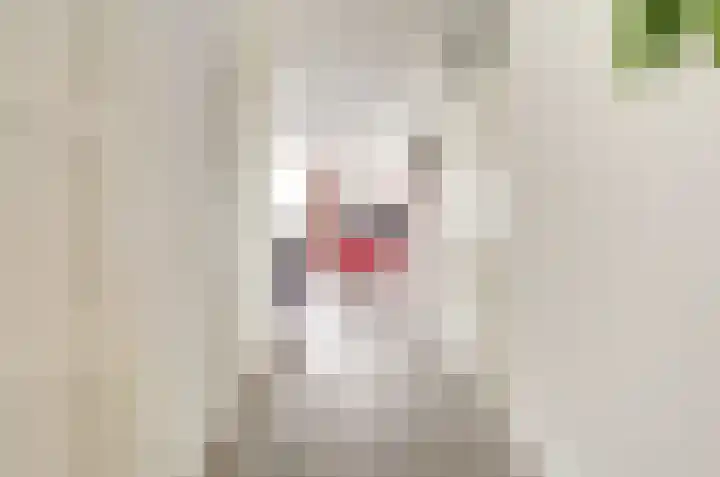 Het Dolomiet 11 Swifterbant thumbnail 9