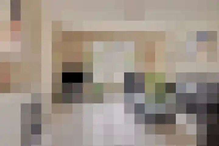 Het Dolomiet 20 Swifterbant thumbnail 10