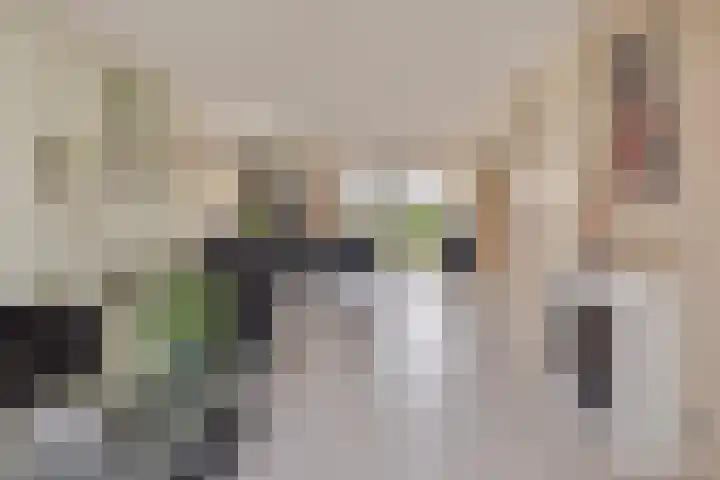 Het Dolomiet 20 Swifterbant thumbnail 12