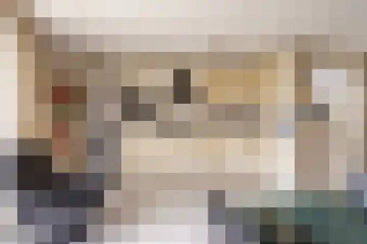 Het Dolomiet 20 Swifterbant thumbnail 15