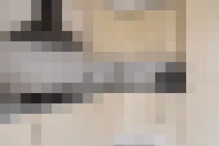 Het Dolomiet 20 Swifterbant thumbnail 17