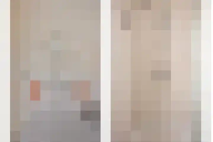 Het Dolomiet 20 Swifterbant thumbnail 26