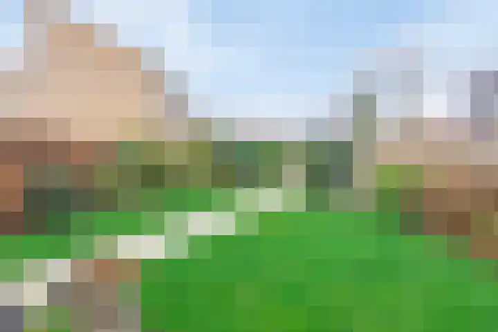 Het Dolomiet 20 Swifterbant thumbnail 32