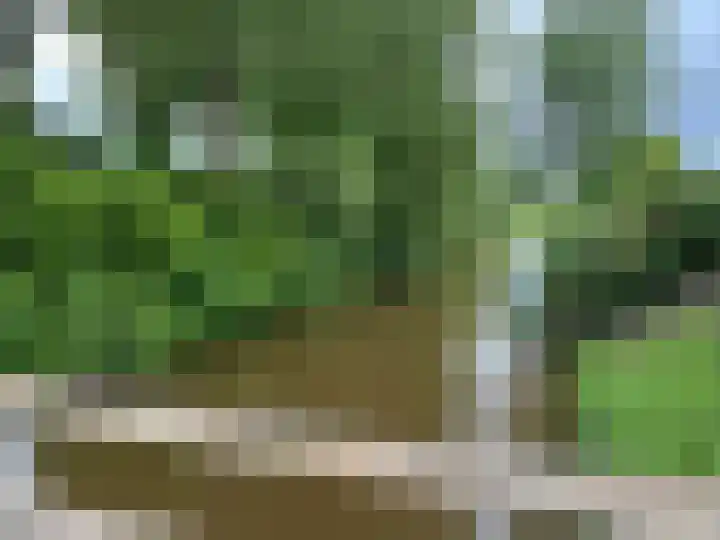 Het Dolomiet 20 Swifterbant thumbnail 37
