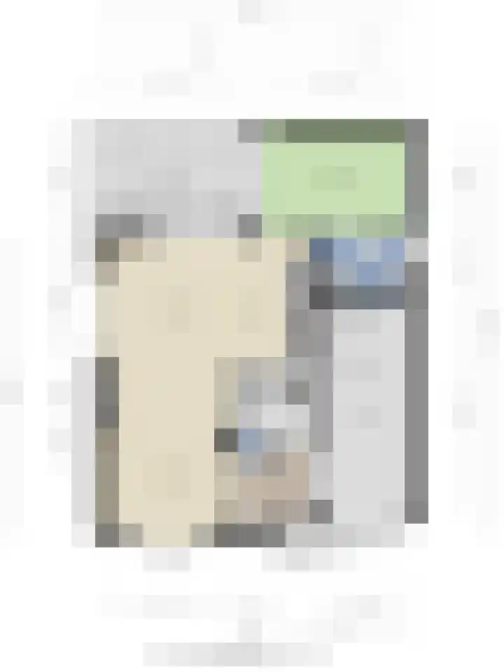 Het Dolomiet 20 Swifterbant thumbnail 38