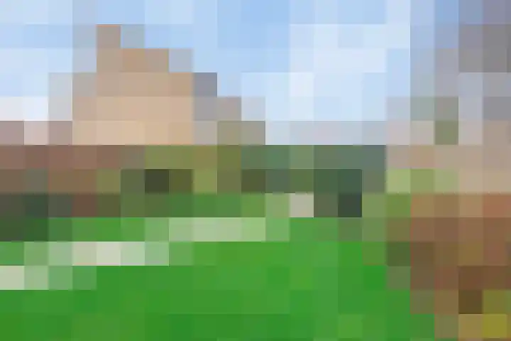 Het Dolomiet 20 Swifterbant thumbnail 4