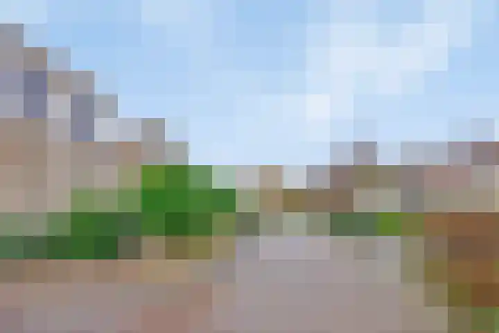 Het Dolomiet 20 Swifterbant thumbnail 5