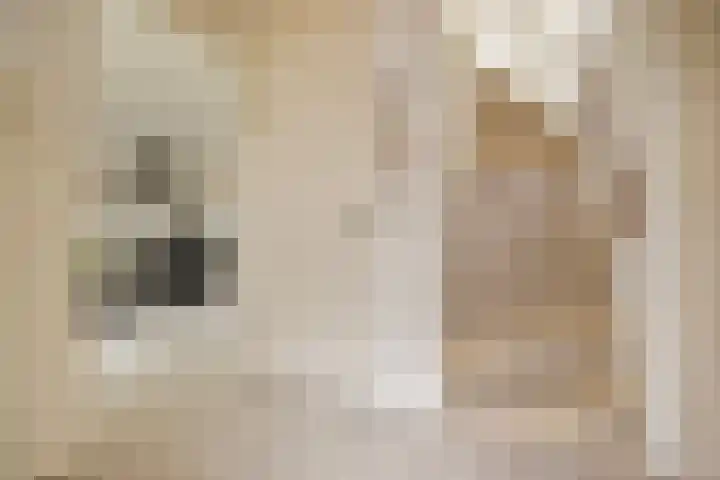 Het Dolomiet 20 Swifterbant thumbnail 8