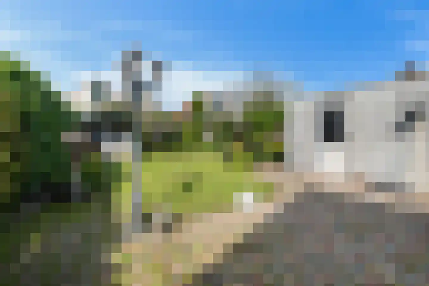 Het Dolomiet 7 Swifterbant thumbnail 24