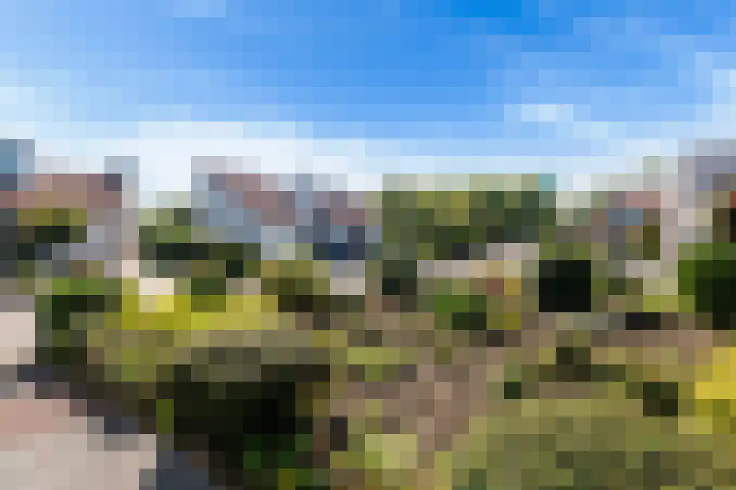 Het Dolomiet 7 Swifterbant thumbnail 29