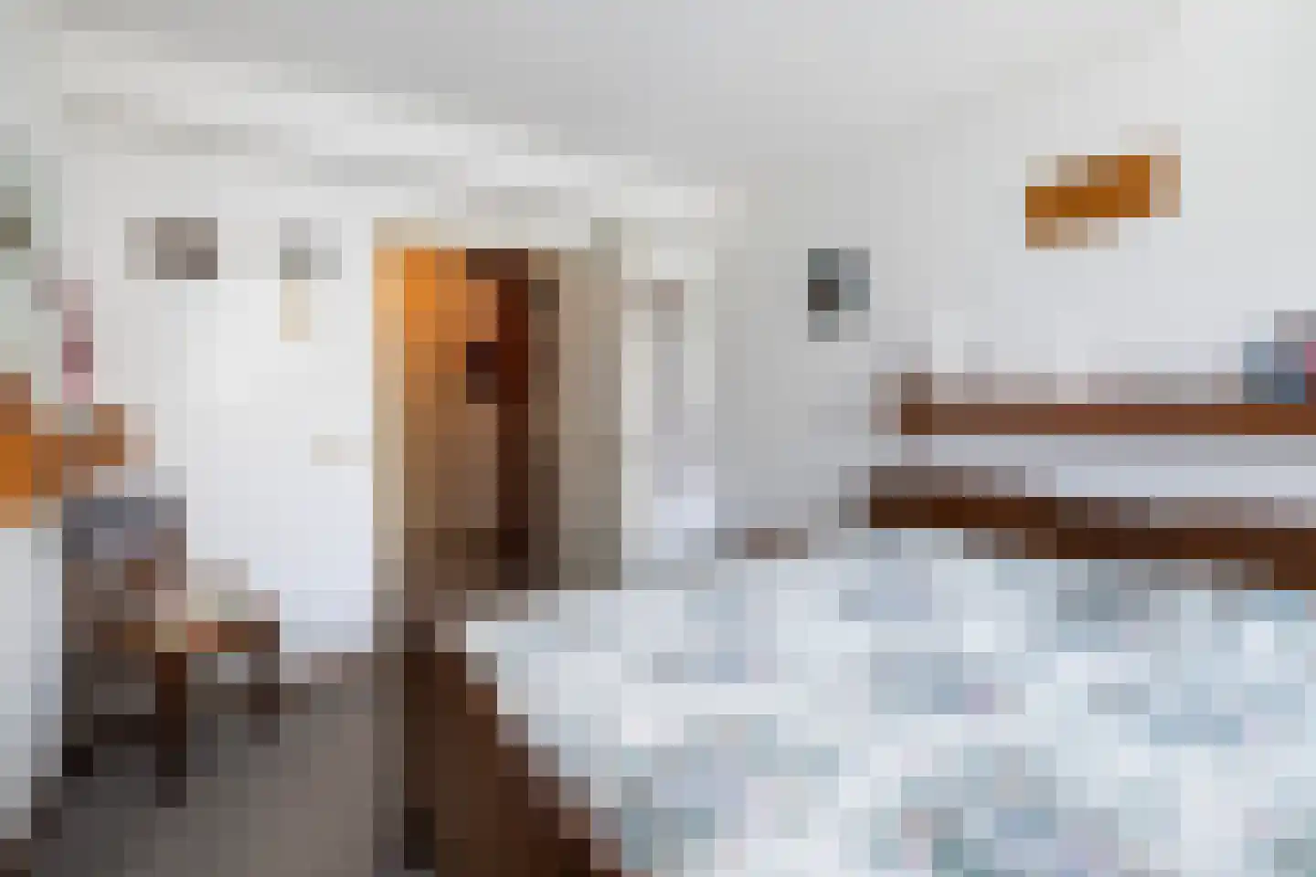 Het Dolomiet 7 Swifterbant thumbnail 7