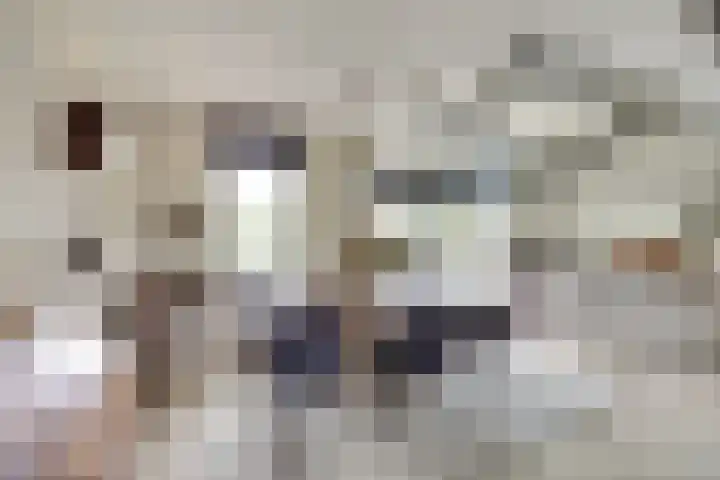Het Dolomiet 8 Swifterbant thumbnail 13
