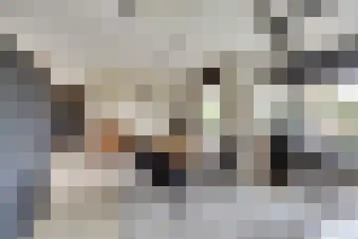 Het Dolomiet 8 Swifterbant thumbnail 14