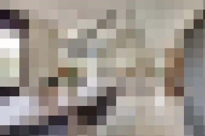 Het Dolomiet 8 Swifterbant thumbnail 16