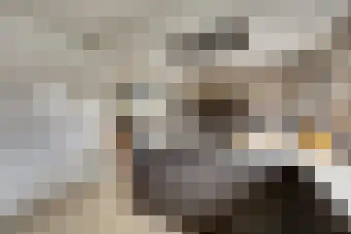 Het Dolomiet 8 Swifterbant thumbnail 20