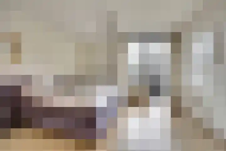 Het Dolomiet 8 Swifterbant thumbnail 22