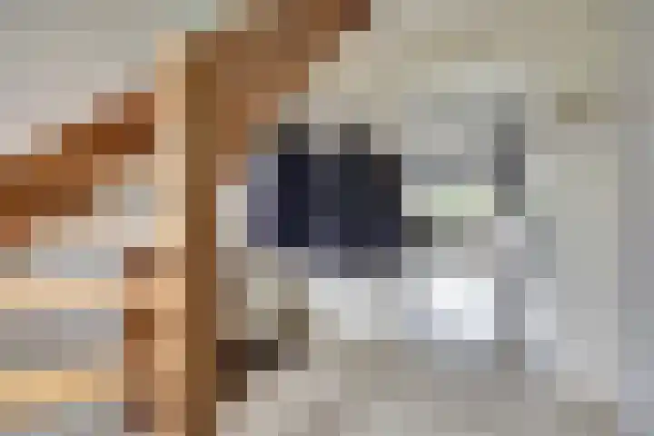 Het Dolomiet 8 Swifterbant thumbnail 26