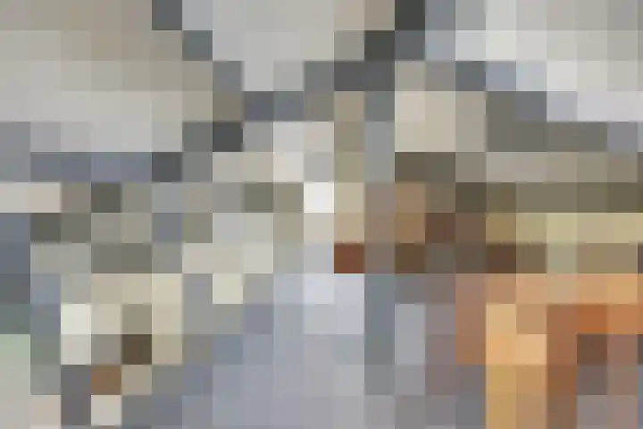 Het Dolomiet 8 Swifterbant thumbnail 28