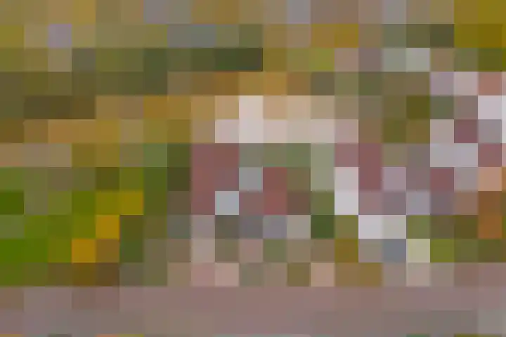 Het Dolomiet 8 Swifterbant thumbnail 37