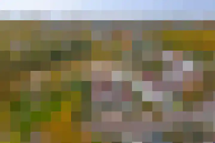 Het Dolomiet 8 Swifterbant thumbnail 38