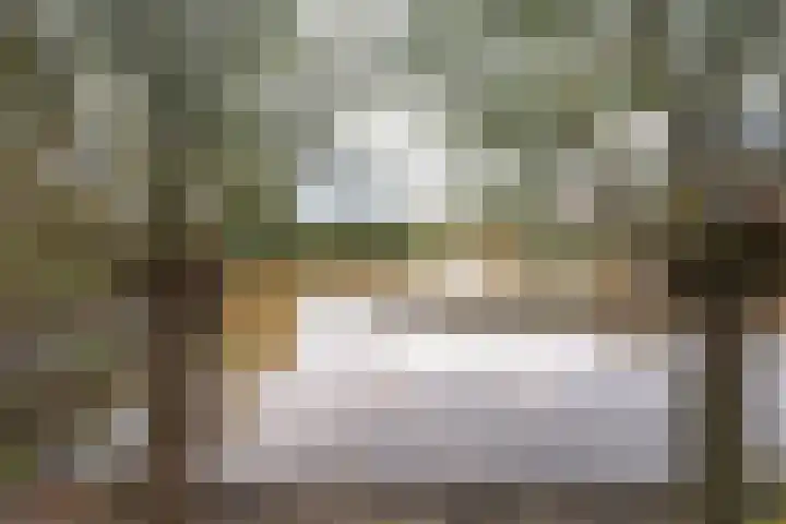 Het Dolomiet 8 Swifterbant thumbnail 48