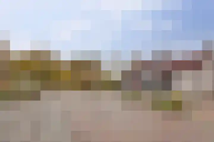 Het Dolomiet 8 Swifterbant thumbnail 52