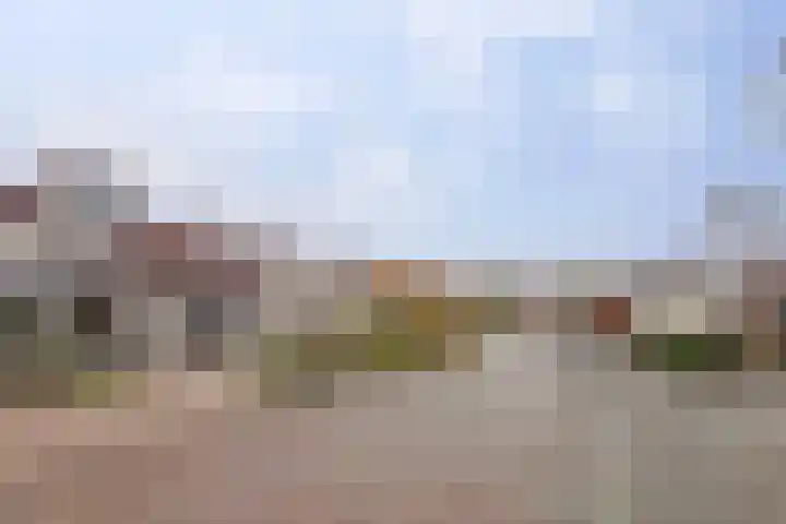 Het Dolomiet 8 Swifterbant thumbnail 53