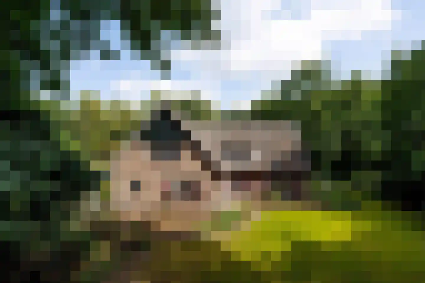 Het Domein 2 Blaricum thumbnail 43