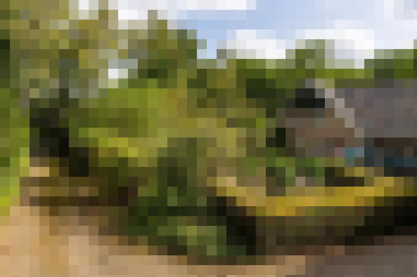 Het Domein 2 Blaricum thumbnail 44