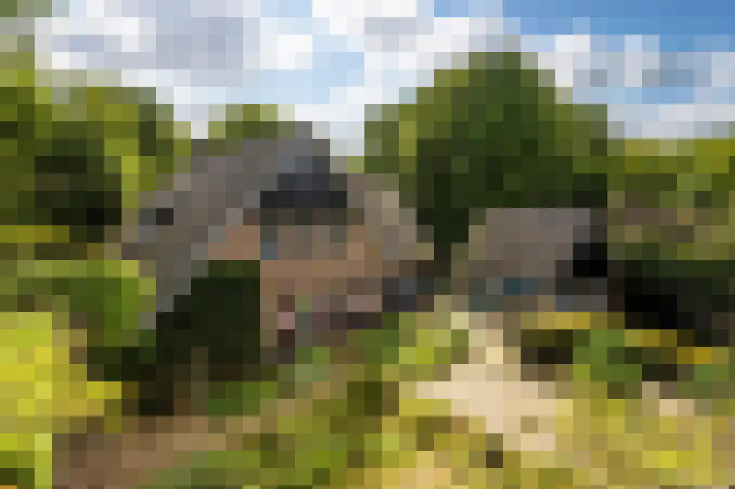 Het Domein 2 Blaricum thumbnail 45