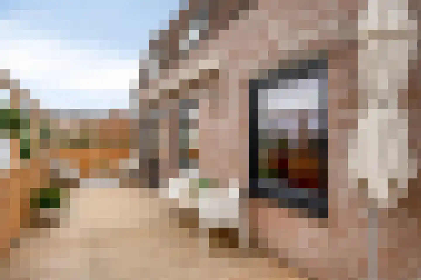 Het Dorpsplein 44 Herveld thumbnail 29